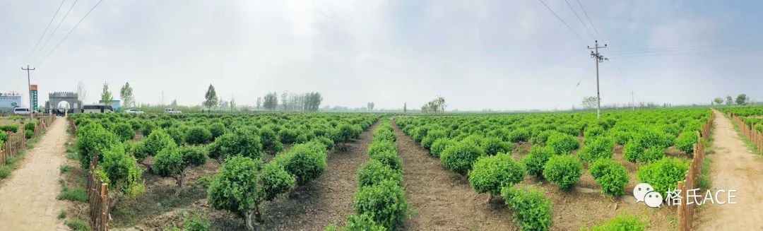 植保無人機(jī)比賽場地